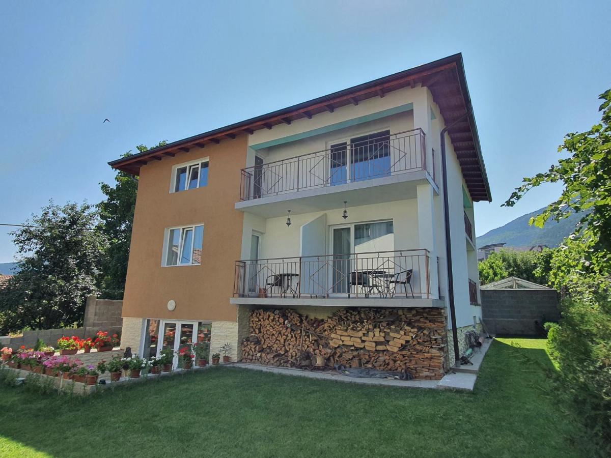 Дамяновата Къща Hotel Sapareva Banya Exterior foto
